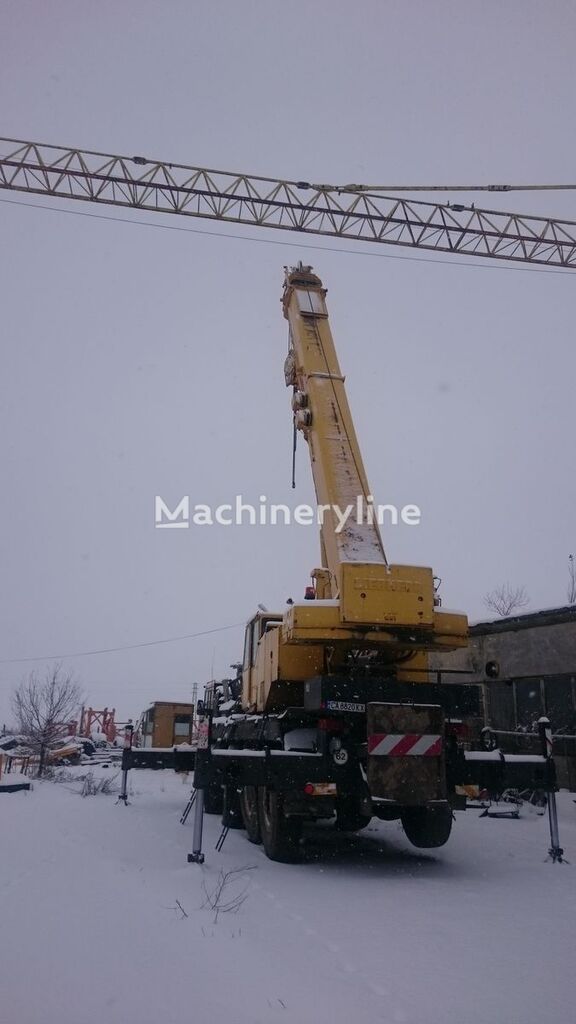 grua móvel Liebherr LTM 1070